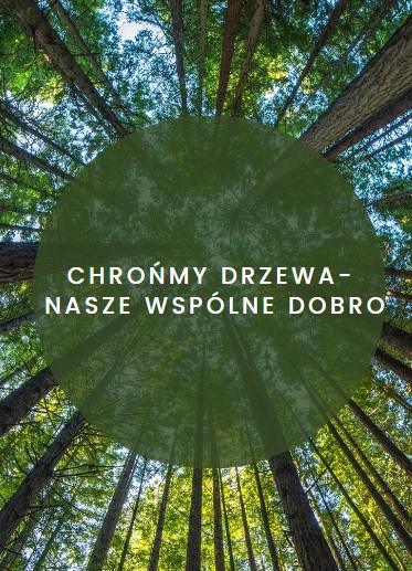 chrońmy drzewa