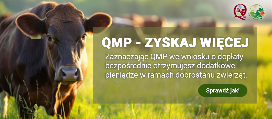 Ekoschemat „Dobrostan zwierząt”Dodatkowe pieniądze dla hodowców bydła z QMP – tylko do 16 czerwca!